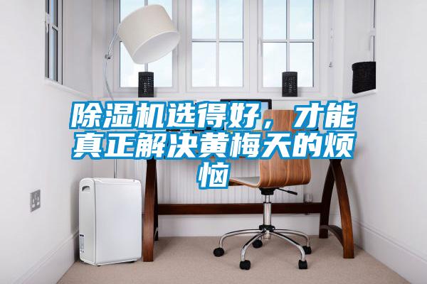 除濕機選得好，才能真正解決黃梅天的煩惱