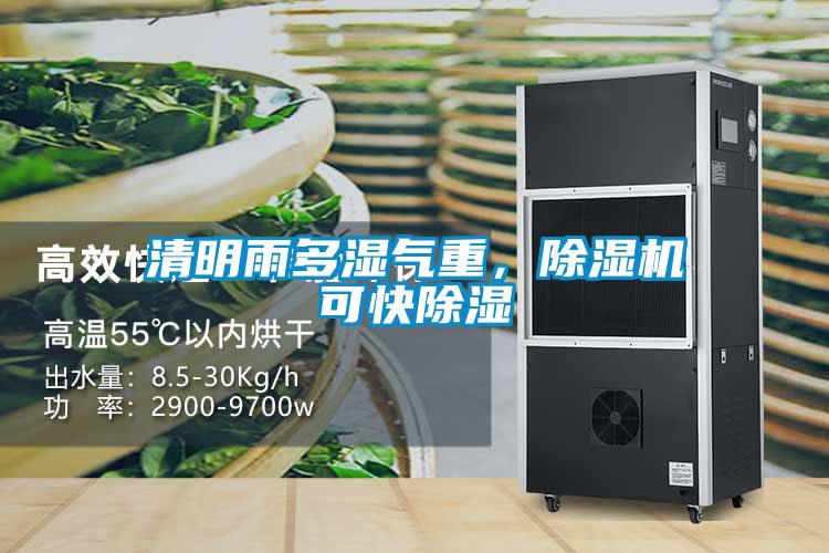 清明雨多濕氣重，除濕機可快除濕