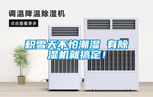 積雪天不怕潮濕 有除濕機就搞定！
