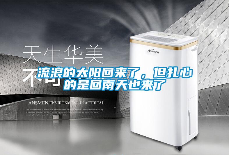 流浪的太陽回來了，但扎心的是回南天也來了