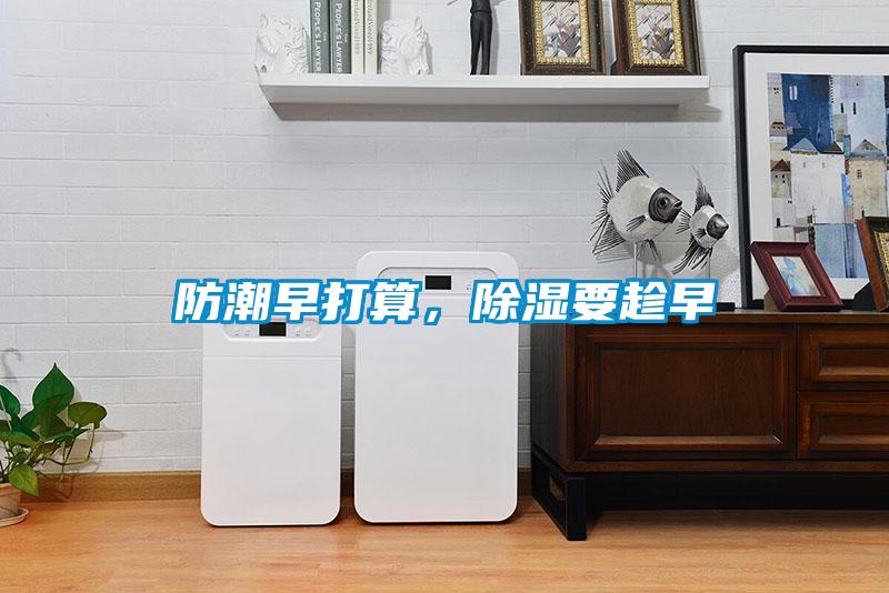 防潮早打算，除濕要趁早