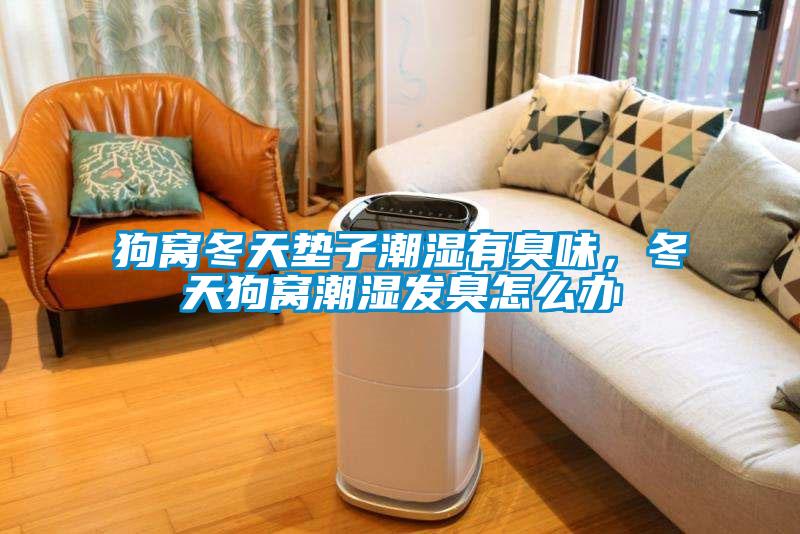 狗窩冬天墊子潮濕有臭味，冬天狗窩潮濕發(fā)臭怎么辦