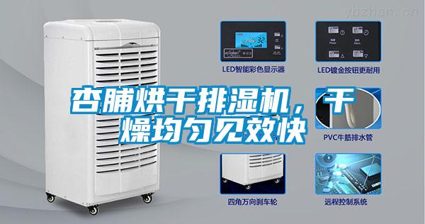杏脯烘干排濕機(jī)，干燥均勻見效快