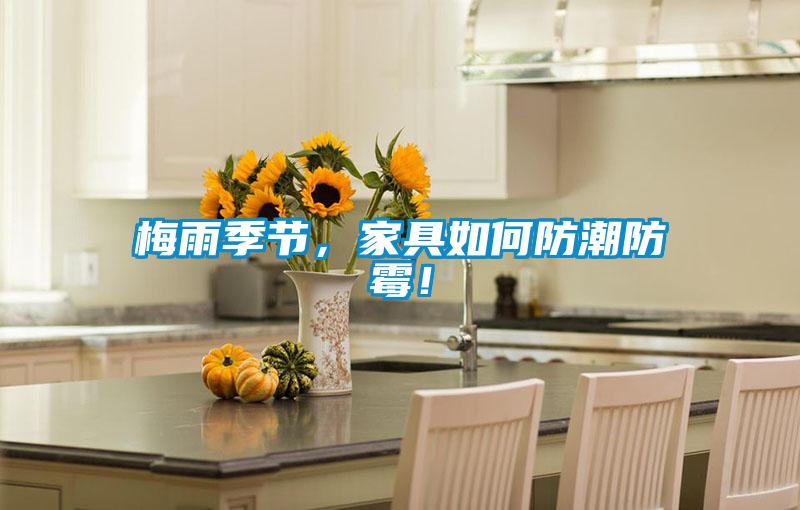 梅雨季節(jié)，家具如何防潮防霉！