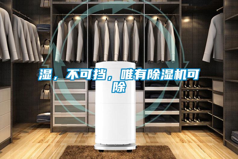 濕，不可擋，唯有除濕機(jī)可除