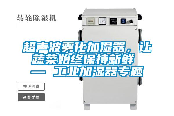 超聲波霧化加濕器，讓蔬菜始終保持新鮮 — 工業(yè)加濕器專(zhuān)題