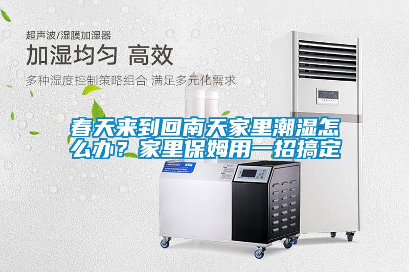 春天來到回南天家里潮濕怎么辦？家里保姆用一招搞定