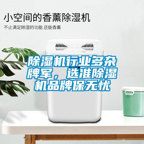 除濕機(jī)行業(yè)多雜牌軍，選準(zhǔn)除濕機(jī)品牌保無(wú)憂