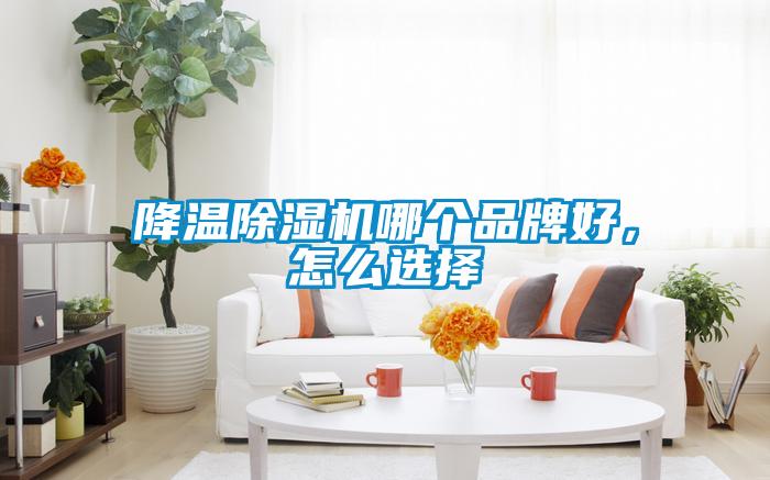 降溫除濕機(jī)哪個品牌好，怎么選擇