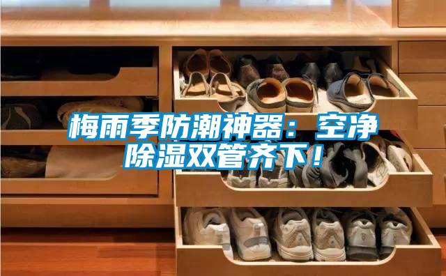 梅雨季防潮神器：空凈除濕雙管齊下！