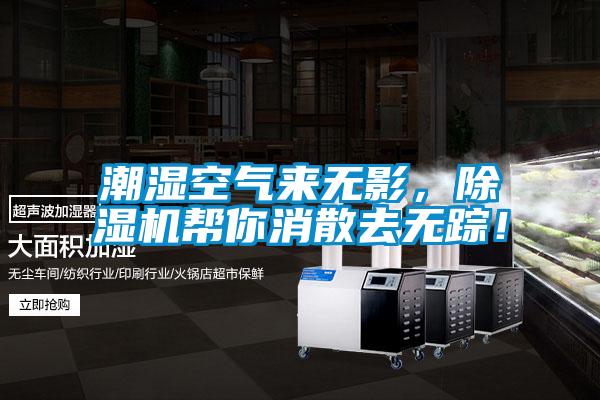 潮濕空氣來(lái)無(wú)影，除濕機(jī)幫你消散去無(wú)蹤！