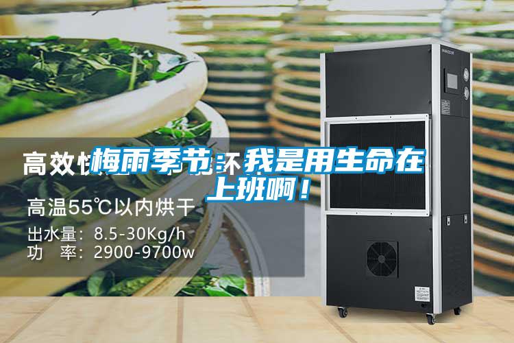 梅雨季節(jié)：我是用生命在上班??！