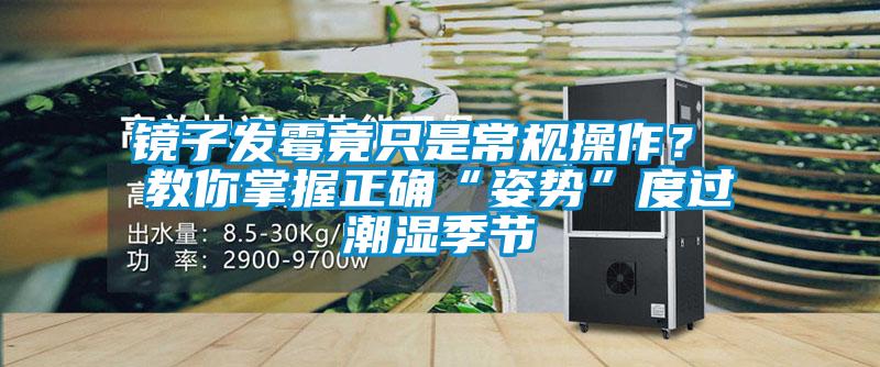 鏡子發(fā)霉竟只是常規(guī)操作？ 教你掌握正確“姿勢”度過潮濕季節(jié)