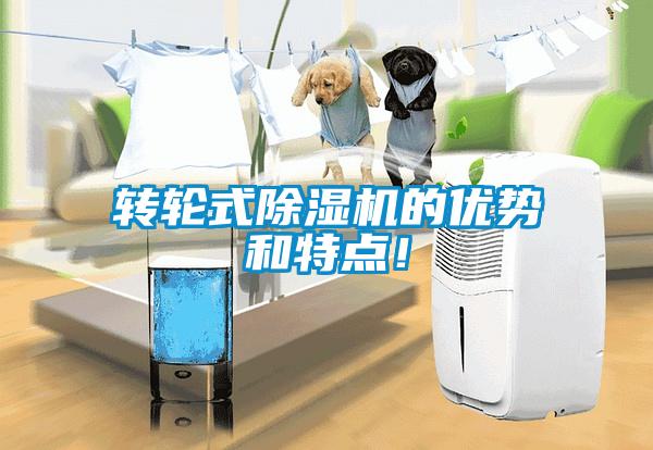 轉(zhuǎn)輪式除濕機(jī)的優(yōu)勢和特點(diǎn)！