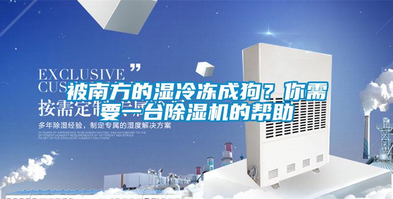 被南方的濕冷凍成狗？你需要一臺除濕機的幫助