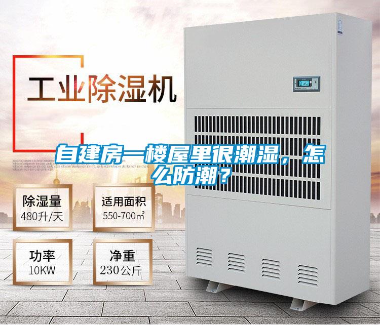 自建房一樓屋里很潮濕，怎么防潮？