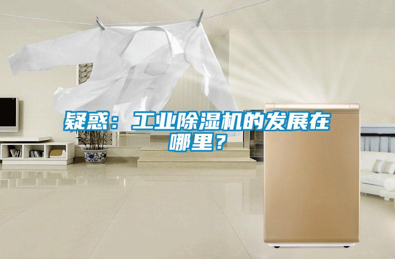 疑惑：工業(yè)除濕機的發(fā)展在哪里？
