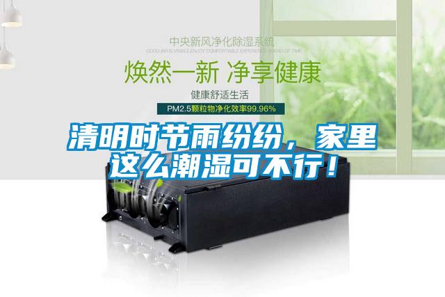 清明時(shí)節(jié)雨紛紛，家里這么潮濕可不行！