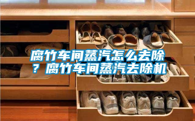 腐竹車間蒸汽怎么去除？腐竹車間蒸汽去除機