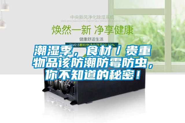 潮濕季，食材／貴重物品該防潮防霉防蟲，你不知道的秘密！