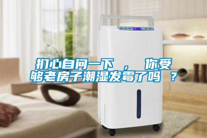 捫心自問(wèn)一下 ， 你受夠老房子潮濕發(fā)霉了嗎 ？