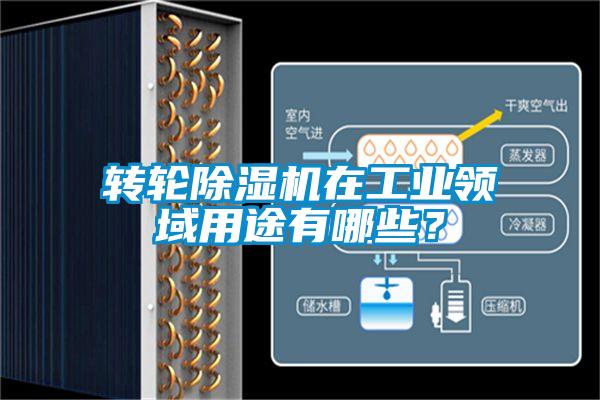 轉(zhuǎn)輪除濕機在工業(yè)領域用途有哪些？