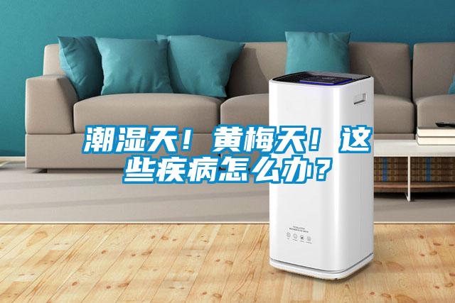 潮濕天！黃梅天！這些疾病怎么辦？