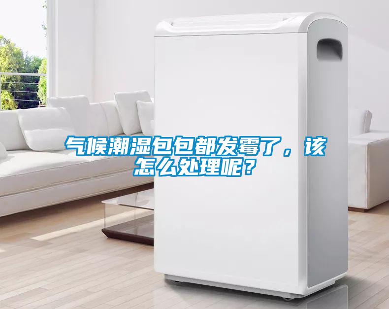 氣候潮濕包包都發(fā)霉了，該怎么處理呢？