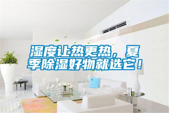 濕度讓熱更熱，夏季除濕好物就選它！