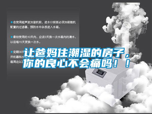 讓爸媽住潮濕的房子，你的良心不會痛嗎??！