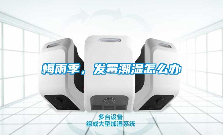 梅雨季，發(fā)霉潮濕怎么辦