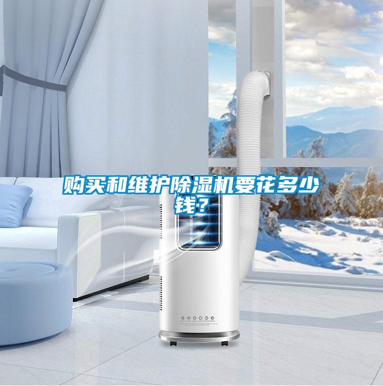 購(gòu)買(mǎi)和維護(hù)除濕機(jī)要花多少錢(qián)？