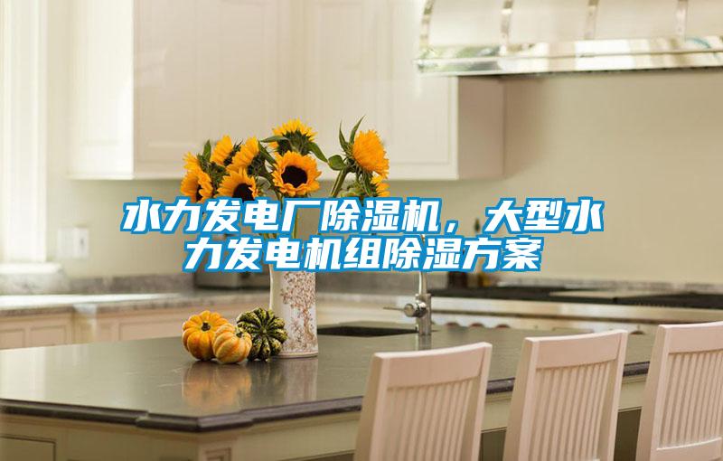 水力發(fā)電廠除濕機，大型水力發(fā)電機組除濕方案