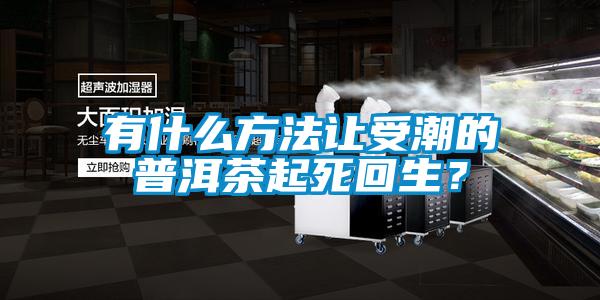有什么方法讓受潮的普洱茶起死回生？