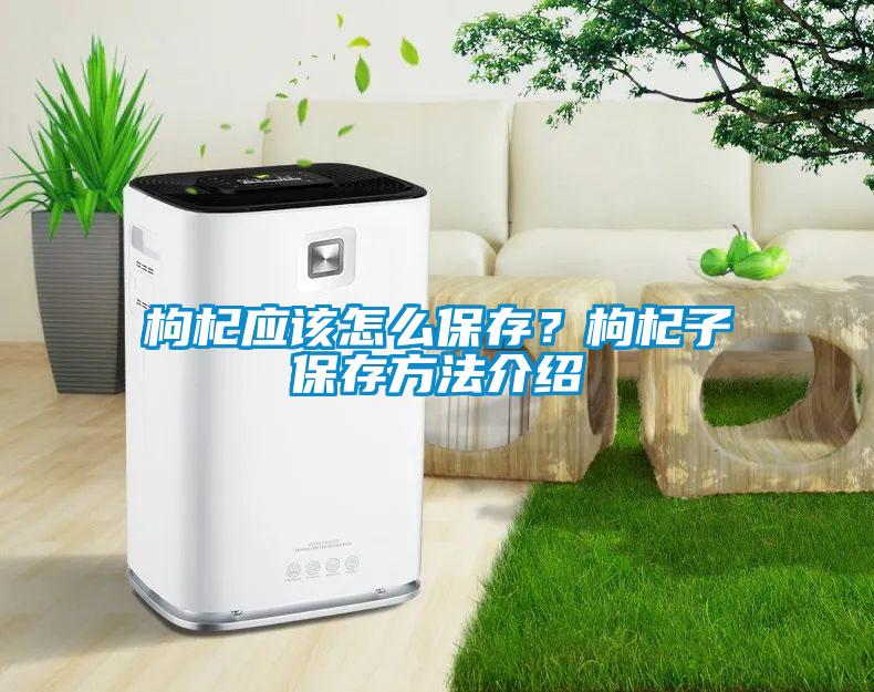 枸杞應(yīng)該怎么保存？枸杞子保存方法介紹