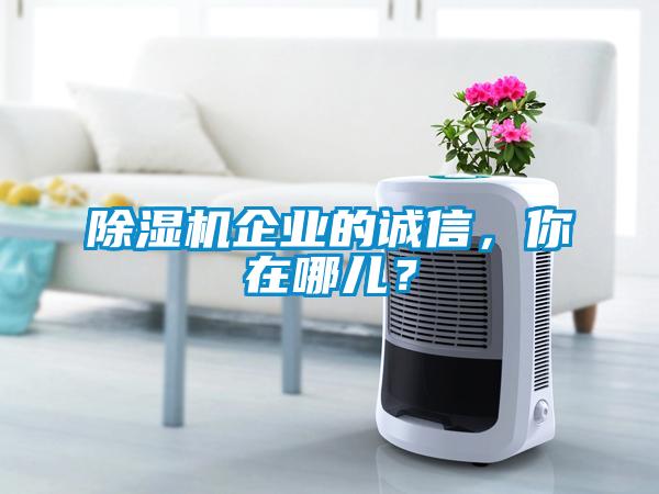 除濕機(jī)企業(yè)的誠(chéng)信，你在哪兒？