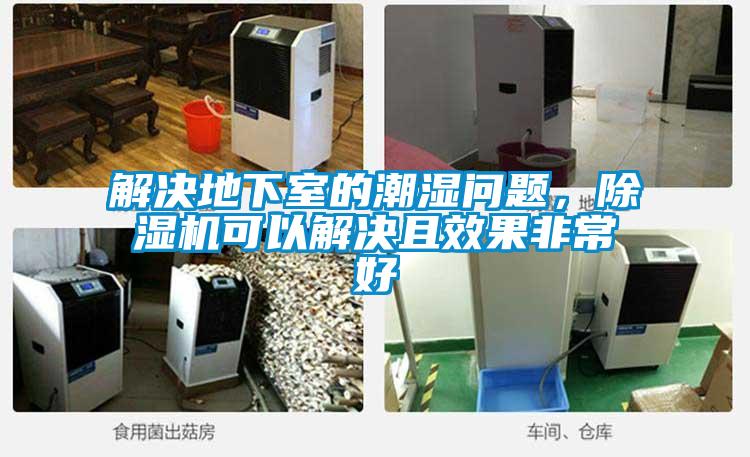 解決地下室的潮濕問題，除濕機可以解決且效果非常好