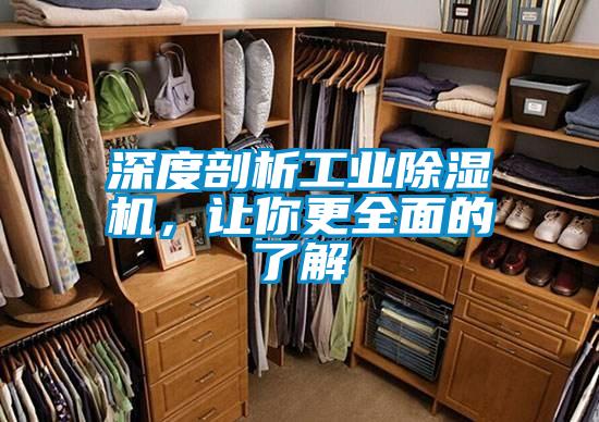 深度剖析工業(yè)除濕機(jī)，讓你更全面的了解