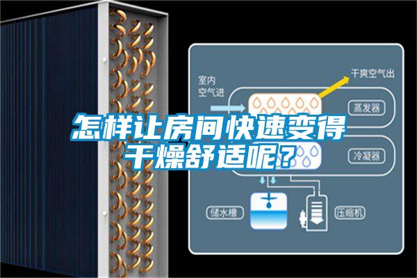 怎樣讓房間快速變得干燥舒適呢？