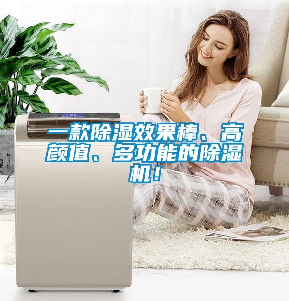 一款除濕效果棒、高顏值、多功能的除濕機！