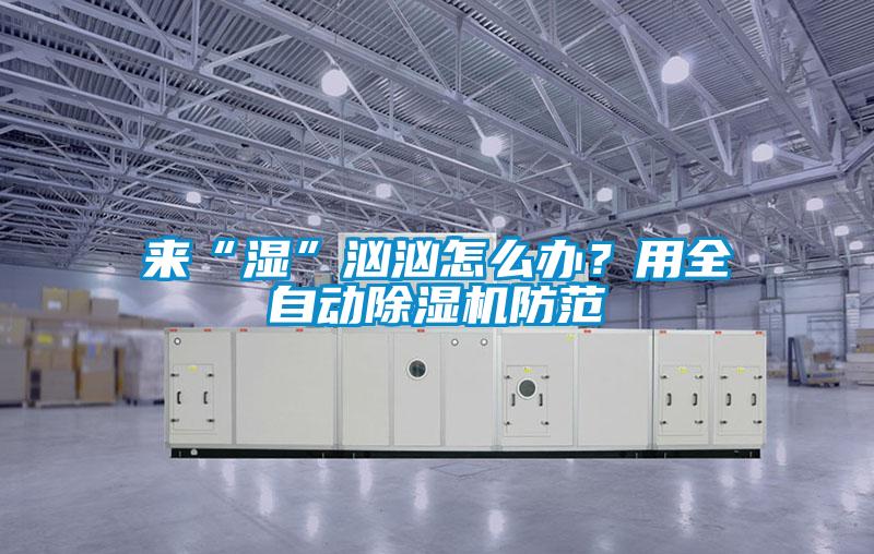 來“濕”洶洶怎么辦？用全自動(dòng)除濕機(jī)防范