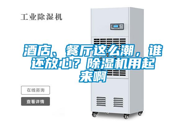 酒店、餐廳這么潮，誰還放心？除濕機用起來啊