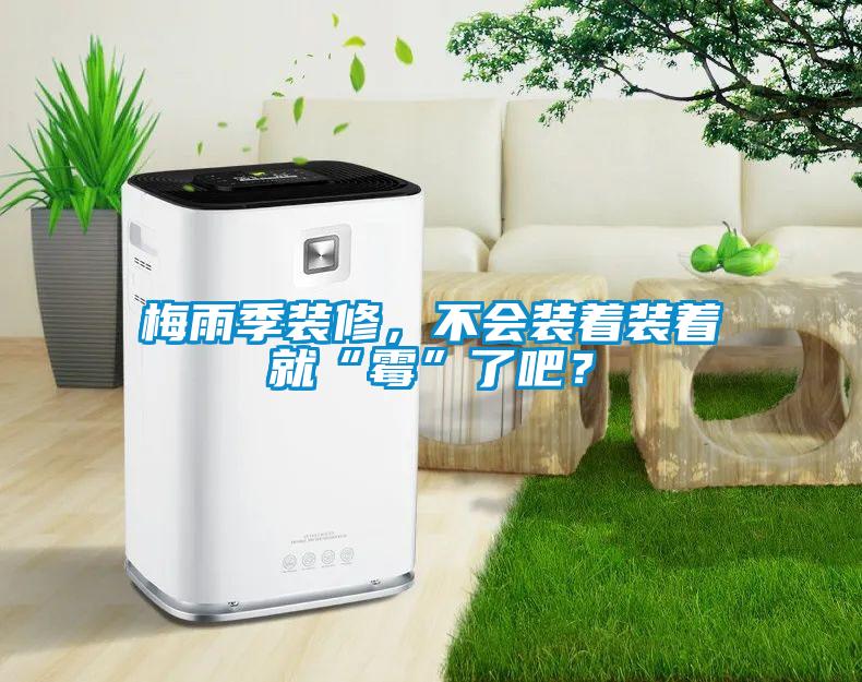 梅雨季裝修，不會裝著裝著就“霉”了吧？