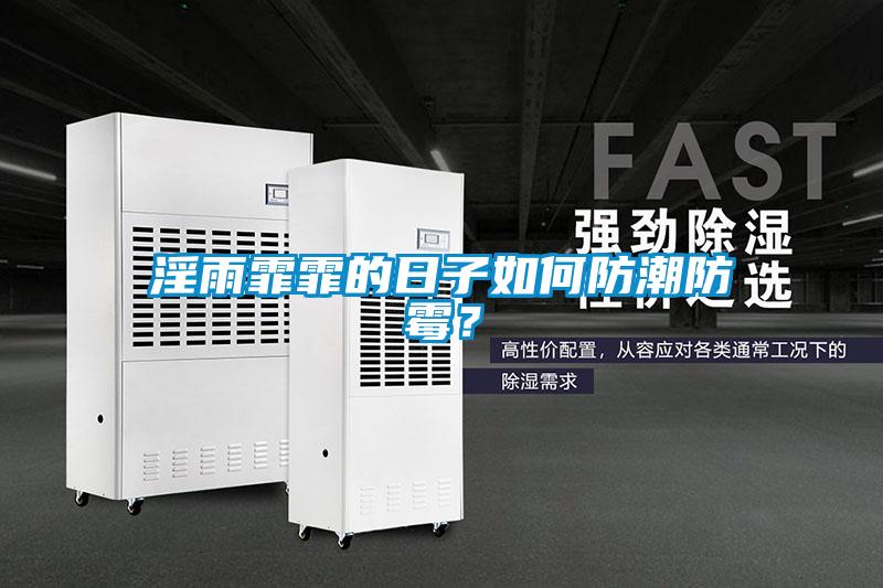 淫雨霏霏的日子如何防潮防霉？
