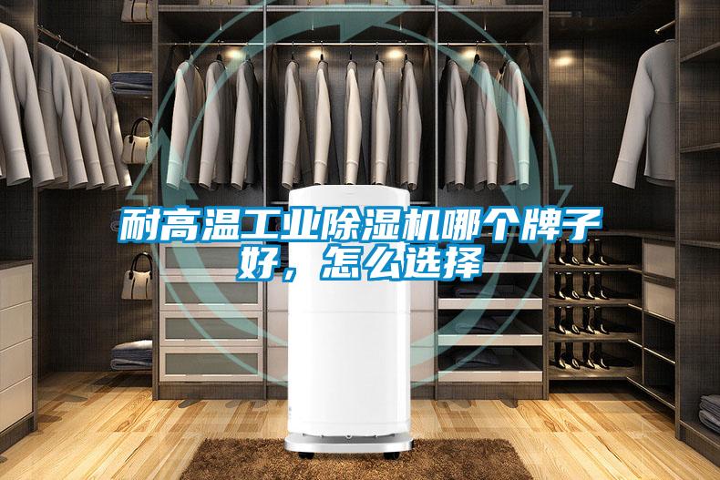 耐高溫工業(yè)除濕機(jī)哪個牌子好，怎么選擇