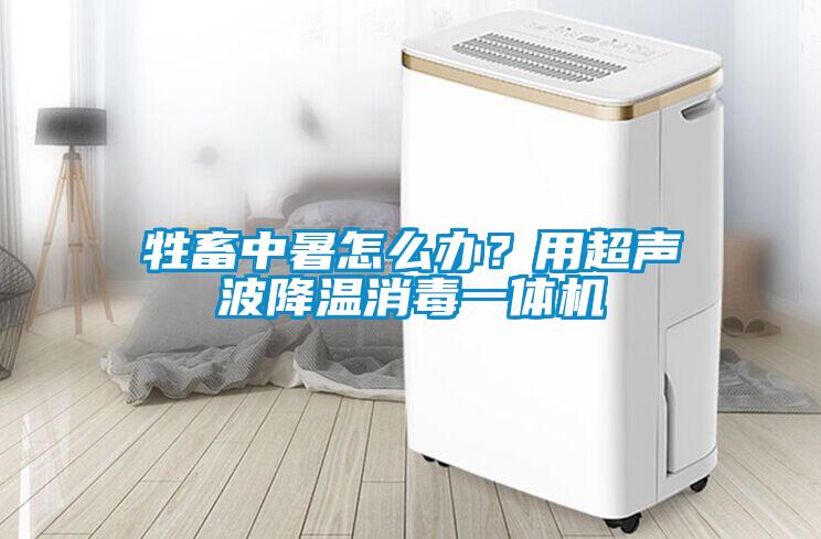 牲畜中暑怎么辦？用超聲波降溫消毒一體機