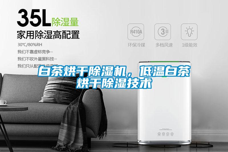 白茶烘干除濕機(jī)，低溫白茶烘干除濕技術(shù)