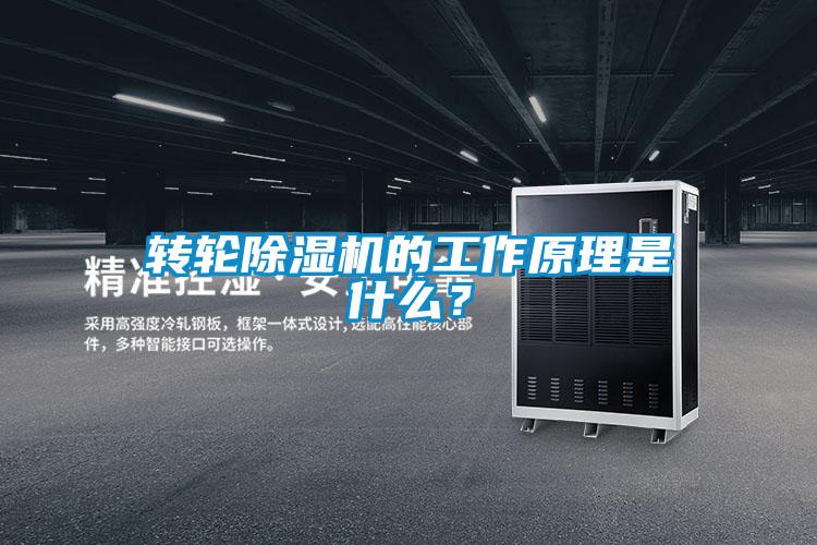 轉(zhuǎn)輪除濕機(jī)的工作原理是什么？