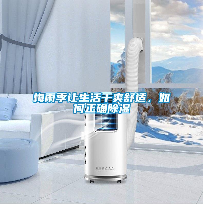 梅雨季讓生活干爽舒適，如何正確除濕
