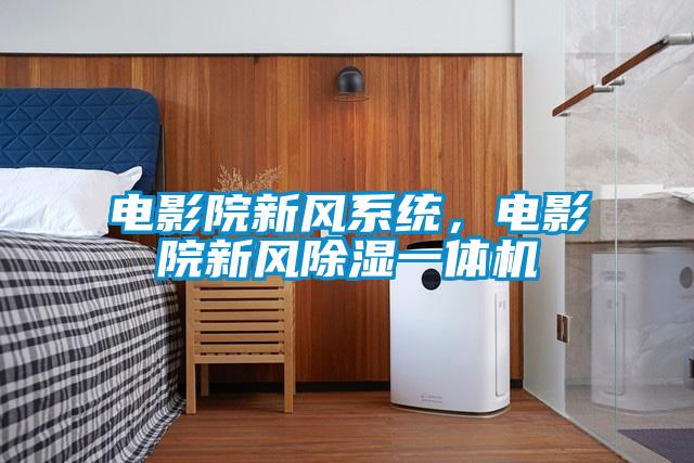 電影院新風(fēng)系統(tǒng)，電影院新風(fēng)除濕一體機(jī)